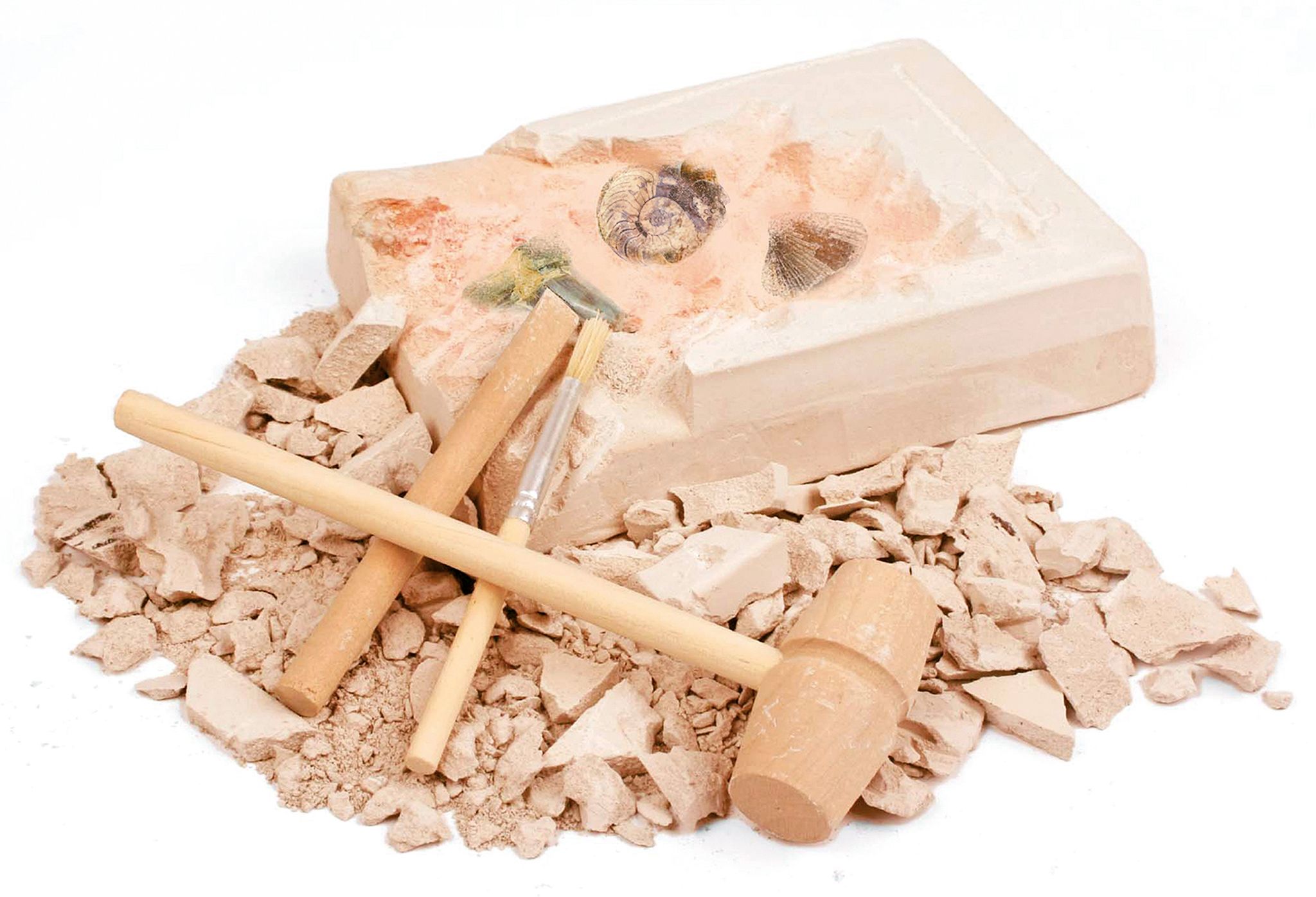 308410_Fossilien-Set_BM_04.jpg