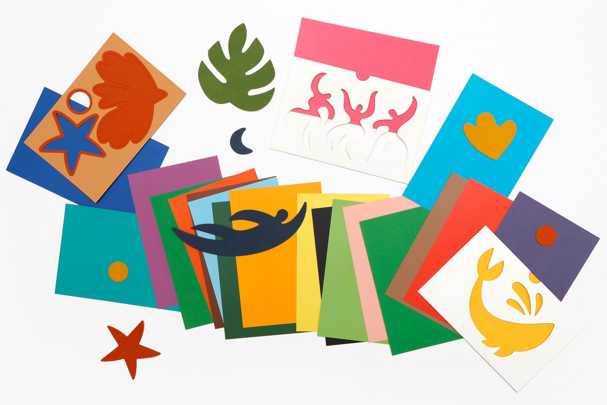 308860_Spass-mit-Matisse_BM_10.jpg