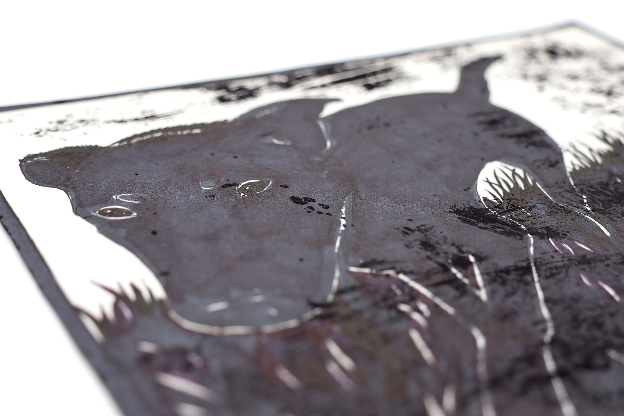 330920_Sokolow_ORGN_Hunderunde_BM_02.jpg